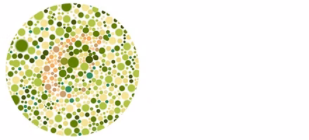 Apollo Führerschein Sehtest Kosten